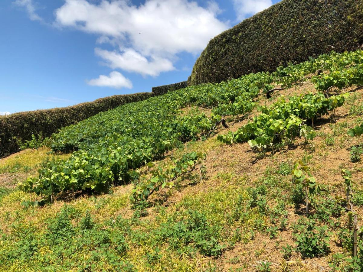 הוילה Ponta Delgada Quinta Do Pico מראה חיצוני תמונה